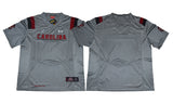 2017 South Carolina Blank Gray