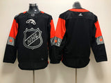 2018 All Star Nashville Predators blank