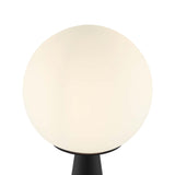 Apex Glass Globe Glass Table Lamp