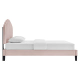 Daisy Performance Velvet Twin Platform Bed