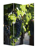 48" X 72" Multi Color Wood Canvas Wine Country Screen