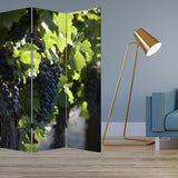 48" X 72" Multi Color Wood Canvas Wine Country Screen