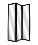 50 X 69 Black Glass &amp; Wood Mirror Screen