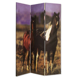 48" X 72" Multi Color Canvas Screen With Nurturing Mare
