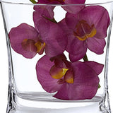 Mouth Blown Lead Free Crystal Pitcher 28 Oz