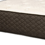 Bridget Twin Xl 11.5" Luxury Firm Hybrid Mattress
