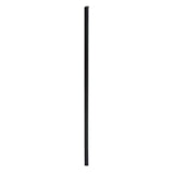 Rectangular Antique Black Finish Mirror With Beveled Edge