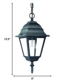 Matte Black Beveled Glass Outdoor Hanging Light