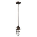 Antique Bronze Cage Pendant Hanging Light
