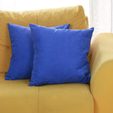 Set of 2 Black Modern Square Throw Pillows
