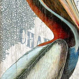 Colorful Pelican Wall Décor