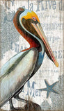 Colorful Pelican XL Wall Décor