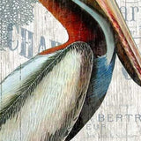 Colorful Pelican XL Wall Décor