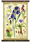The Iris Arrangement Tapestry Wall Décor