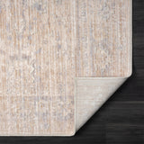 2' X 3' Gray Oriental Area Rug
