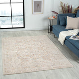 2' X 3' Gray Oriental Area Rug