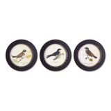 Set Of Three Black Bird Wall Decor