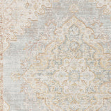 4' x 6' Blue and Gray Medallion Power Loom Area Rug