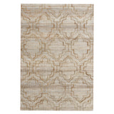 5' x 8' Brown Trellis Hand Woven Area Rug