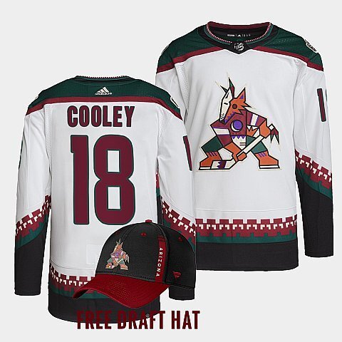 Arizona Coyotes #18 logan cooley coyotes white authentic primegreen 2022 nhl draft away jersey