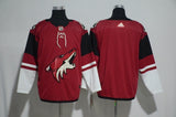Arizona Coyotes blank red