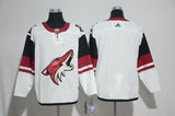 Arizona Coyotes blank