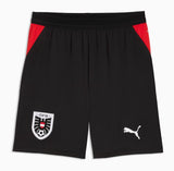 Austria 2026 World Cup Home Style 2