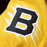 Boston Bruins 2026 NHL Stadium Series Style 1