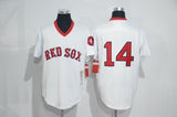 Boston Red Sox #14 Style 2