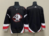 Buffalo Sabres Style 5