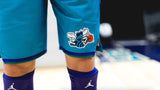 Charlotte Hornets 2023-24 Classic Jersey Style 1