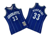 Charlotte Hornets #33 Alonzo Mourning Hornets 33 # Purple 94-95 Season Mitchell Retro Jersey Style 1