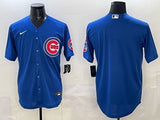 Chicago Cubs Cubs Adult Style 3