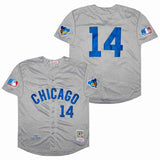 Chicago Cubs #14 Ernie Banks Cubs 14 Hemp Gray 1969 Retro