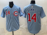 Chicago Cubs #14 Ernie Banks