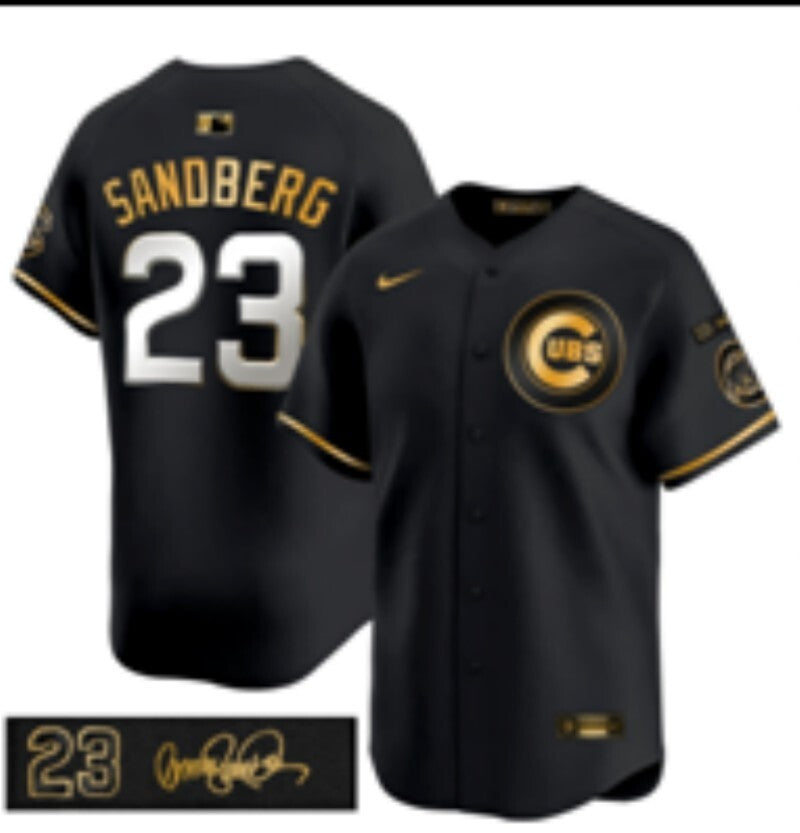 Chicago Cubs #23 Ryne Sandberg Cubs Black Gold V3 Style 3