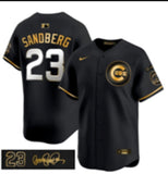 Chicago Cubs #23 Ryne Sandberg Cubs Black Gold V3 Style 3