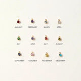 Birthstone Charm Necklace