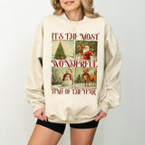 It's The Most Wonderful Time Of The Year Sweatshirt, Cute Santa Shirt, Christmas Family Shirt, Family Holiday Tee