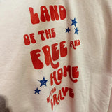 Large Lt Pink Land Of The Free Pullover