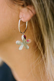 Daisy Drops