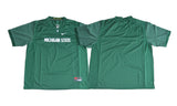 Michigan State Spartans Blank