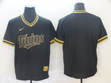 Minnesota Twins blank