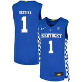 Nate Sestina 1 Blue