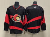 Ottawa Senators Style 2