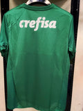 Palmeiras Style 1
