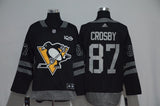Pittsburgh penguins Style 2