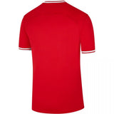 Poland Away Style 1