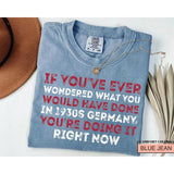 Political Activism Shirt, Anti Trump Shirt, 1930s Germany Comes to America, Anti Fascism Shirt, Human Rights Shirt, History Buff Gift