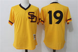 San Diego Padres #19 Tony Gwynn Mesh Throwback Style 2